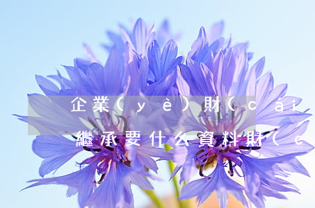 企業(yè)財(cái)產(chǎn)繼承要什么資料(財(cái)產(chǎn)繼承需要什么材料)