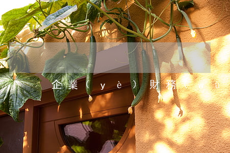 企業(yè)財務(wù)制度