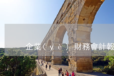 企業(yè)財務會計報告條例