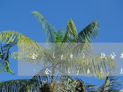 企業(yè)貸款分期還本逾期五天上征信-企業(yè)貸款分期還本逾期五天上征信有影響嗎