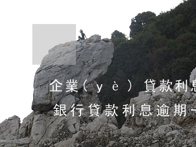 企業(yè)貸款利息不小心逾期一次(公司銀行貸款利息逾期一天嚴(yán)重嗎)