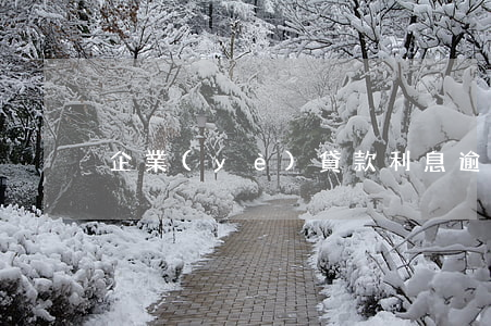 企業(yè)貸款利息逾期影響