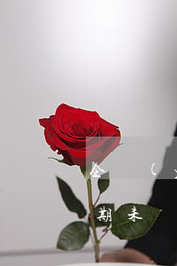 企業(yè)貸款利息逾期未還(銀行貸款逾期未還)