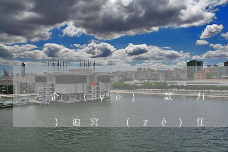 企業(yè)貸款無力償還,法人會(huì)追究責(zé)任嗎-企業(yè)貸款無力償還,法人會(huì)追究責(zé)任嗎