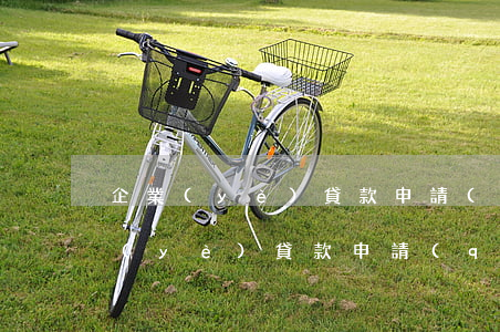 企業(yè)貸款申請(qǐng)書(企業(yè)貸款申請(qǐng)書怎么寫模板)