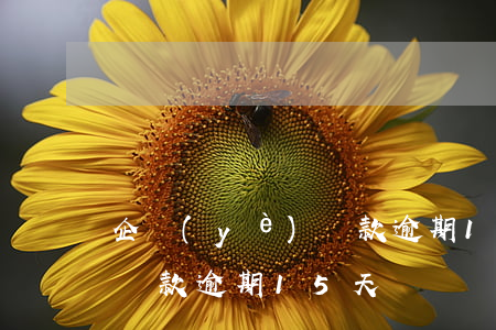 企業(yè)貸款逾期15天(企業(yè)貸款逾期15天)