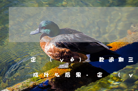企業(yè)貸款逾期三天會(huì)造成什么后果-企業(yè)貸款逾期三天會(huì)造成什么后果呢
