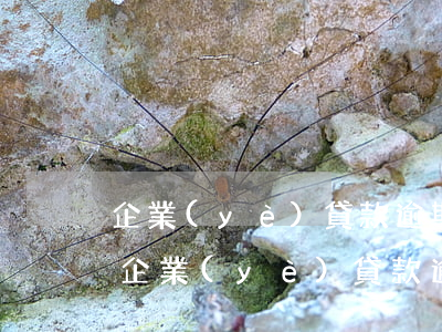 企業(yè)貸款逾期利息怎么計算公式-企業(yè)貸款逾期利息怎么計算公式的