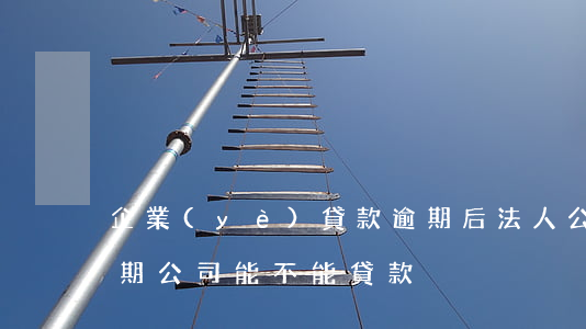 企業(yè)貸款逾期后法人(公司法人有逾期,公司能不能貸款)