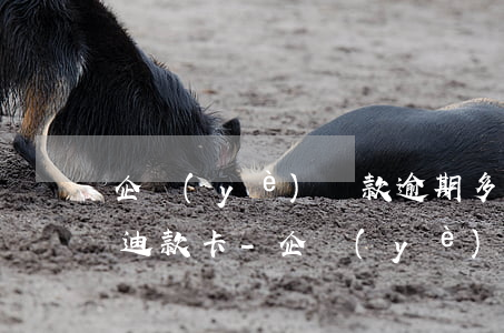 企業(yè)貸款逾期多久計(jì)入阿迪款卡-企業(yè)貸款逾期多久計(jì)入阿迪款卡里