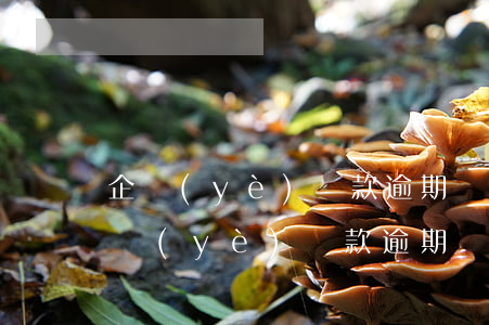企業(yè)貸款逾期對法人有什么影響(企業(yè)貸款逾期對法人有影響嗎)