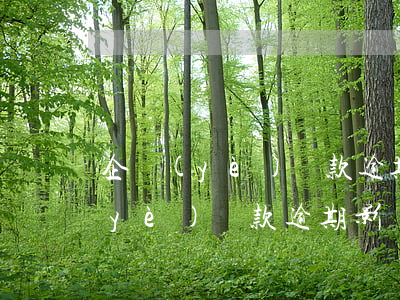 企業(yè)貸款逾期對銀行的影響(企業(yè)貸款逾期影響個人征信嗎)