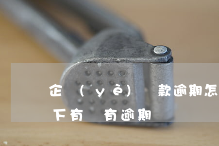 企業(yè)貸款逾期怎么查(怎么查自己名下有沒有逾期)