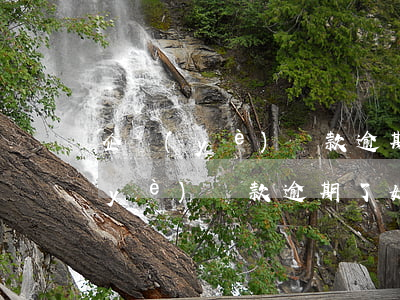 企業(yè)貸款逾期怎么辦信用卡(企業(yè)貸款逾期了如何恢復(fù)征信)