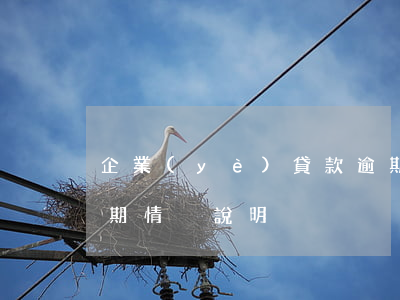 企業(yè)貸款逾期情況聲明(個人貸款逾期情況說明)