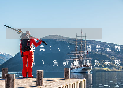 企業(yè)貸款逾期有什么影響(企業(yè)貸款逾期幾天影響征信)