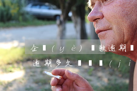 企業(yè)貸款逾期賬戶凍結(jié)(逾期多久會凍結(jié)名下所有賬戶)