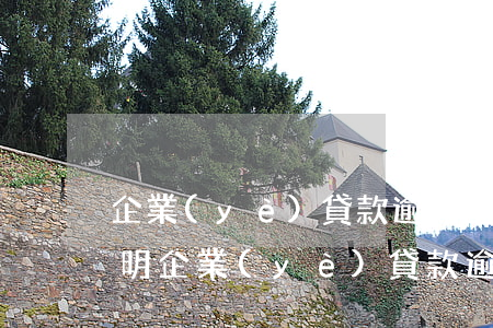 企業(yè)貸款逾期還款說(shuō)明(企業(yè)貸款逾期后果是什么)