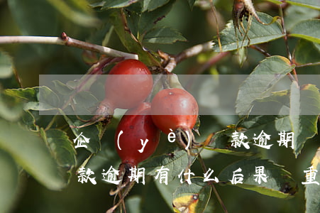 企業(yè)貸款逾期頻發(fā)原因(貸款逾期有什么后果嚴重)