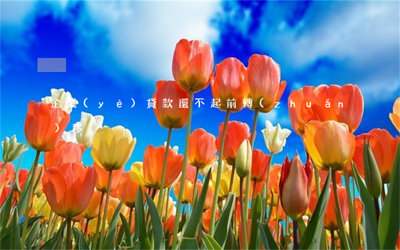 企業(yè)貸款還不起前轉(zhuǎn)移
