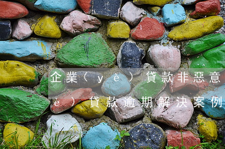 企業(yè)貸款非惡意逾期說明(企業(yè)貸款逾期解決案例)