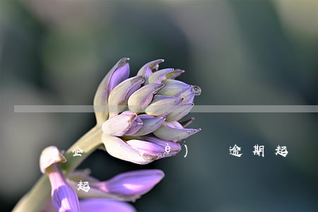企業(yè)貸逾期起訴流程(貸款逾期怎么起訴)
