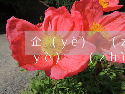 企業(yè)資質(zhì)是什么（企業(yè)資質(zhì)證明是什么）