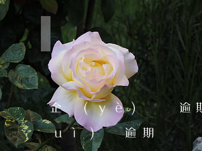 企業(yè)賬單逾期(企業(yè)對(duì)賬逾期)