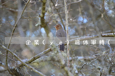 企業(yè)退休軍轉(zhuǎn)