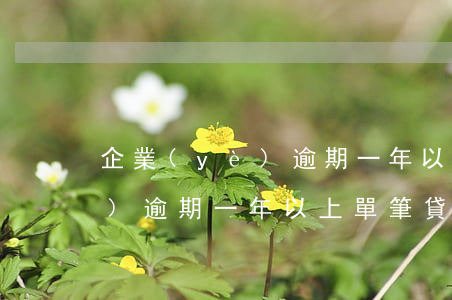 企業(yè)逾期一年以上單筆(企業(yè)逾期一年以上單筆貸款)