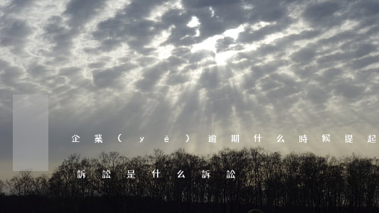 企業(yè)逾期什么時候提起訴訟-逾期訴訟是什么訴訟