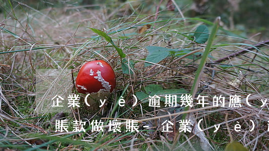 企業(yè)逾期幾年的應(yīng)收賬款做壞賬-企業(yè)逾期幾年的應(yīng)收賬款做壞賬處理