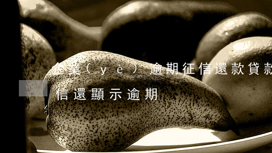 企業(yè)逾期征信還款(貸款公司倒閉征信還顯示逾期)