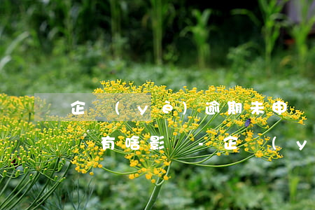 企業(yè)逾期未申報(bào)對辦稅員有啥影響-企業(yè)逾期未申報(bào)對辦稅員有啥影響嗎