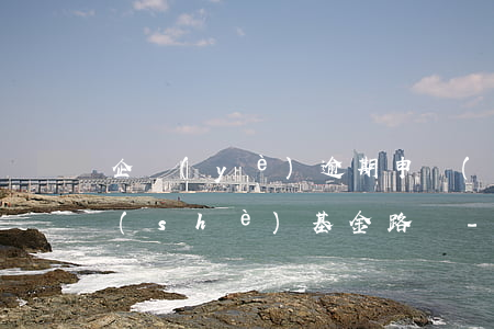 企業(yè)逾期申報(bào)水利建設(shè)基金路徑-水利建設(shè)基金逾期未申報(bào)