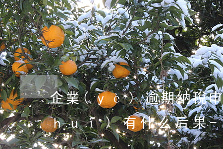 企業(yè)逾期納稅申報(bào)會(huì)有什么后果-企業(yè)逾期納稅申報(bào)會(huì)有什么后果嗎