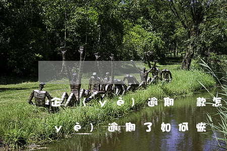 企業(yè)逾期貸款怎么辦信用卡 企業(yè)逾期了如何恢復(fù)征信
