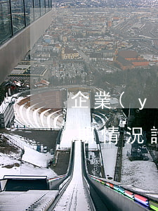 企業(yè)逾期貸款情況說明(個人貸款逾期情況說明)