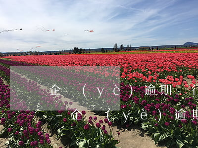 企業(yè)逾期進行工商年報有什么后果-企業(yè)逾期進行工商年報有什么后果嗎