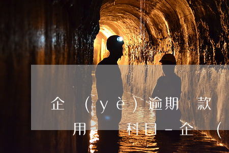企業(yè)逾期還款產(chǎn)生的費用會計科目-企業(yè)逾期還款產(chǎn)生的費用會計科目是什么