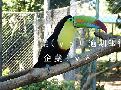 企業(yè)逾期銀行利息一天會上征信嗎-企業(yè)還利息逾期一天