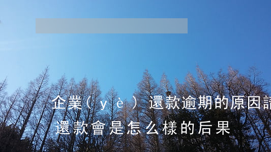 企業(yè)還款逾期的原因(請問貸款逾期還款會是怎么樣的后果)