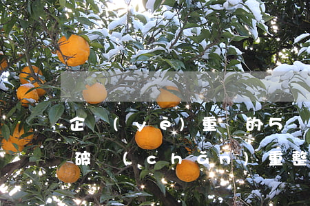 企業(yè)重組的５個條件（不同主體提出破產(chǎn)重整申請的條件）