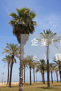 企業(yè)銀行貸款逾期的后果(企業(yè)貸款逾期會造成什么后果)
