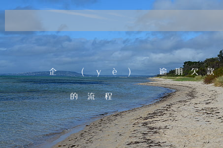 企業(yè)間逾期欠款前訴訟流程(逾期起訴的流程)