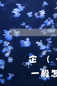 企業(yè)顧問一般怎么收費(顧問咨詢費一般怎么收)