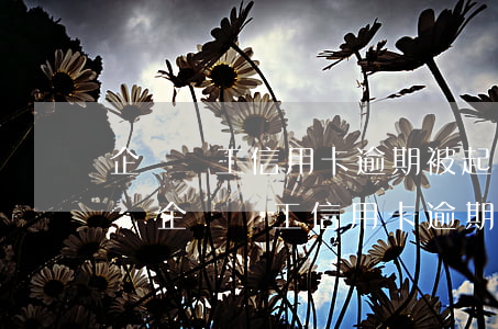 企業員工信用卡逾期被起訴怎么處理，如何應對企業員工信用卡逾期被起訴的情況？