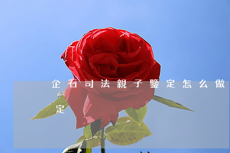 企石司法親子鑒定怎么做(如何做司法親子鑒定)