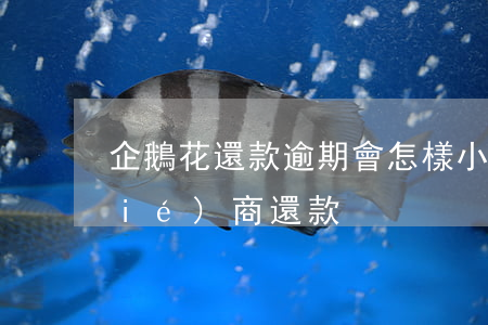 企鵝花還款逾期會怎樣(小鵝花錢怎么協(xié)商還款)