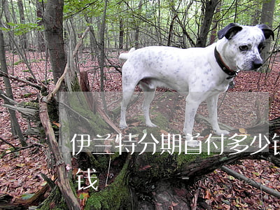 伊兰特分期首付多少钱(伊兰特分期首付多少钱)